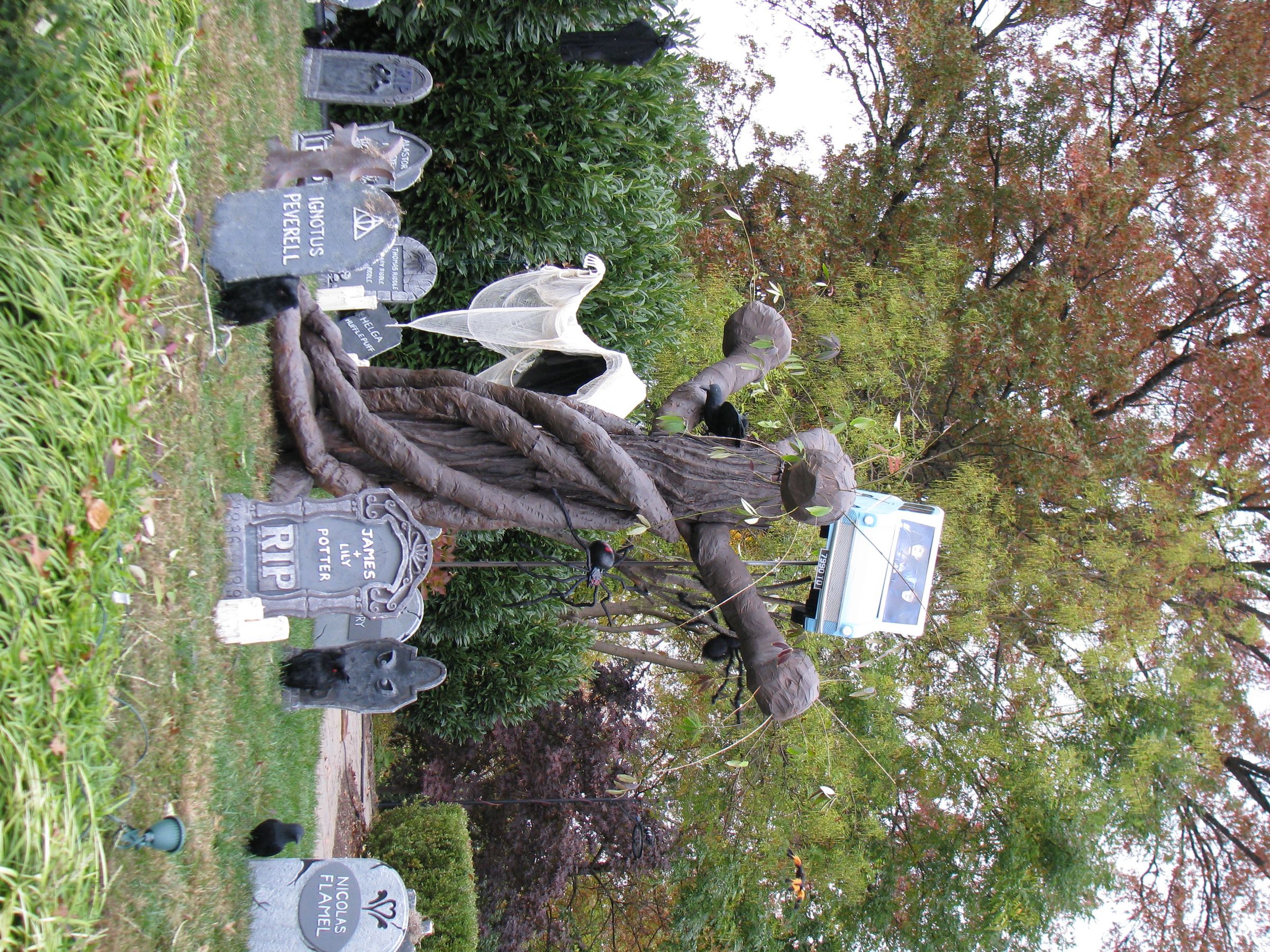 IMG_3217.JPG
