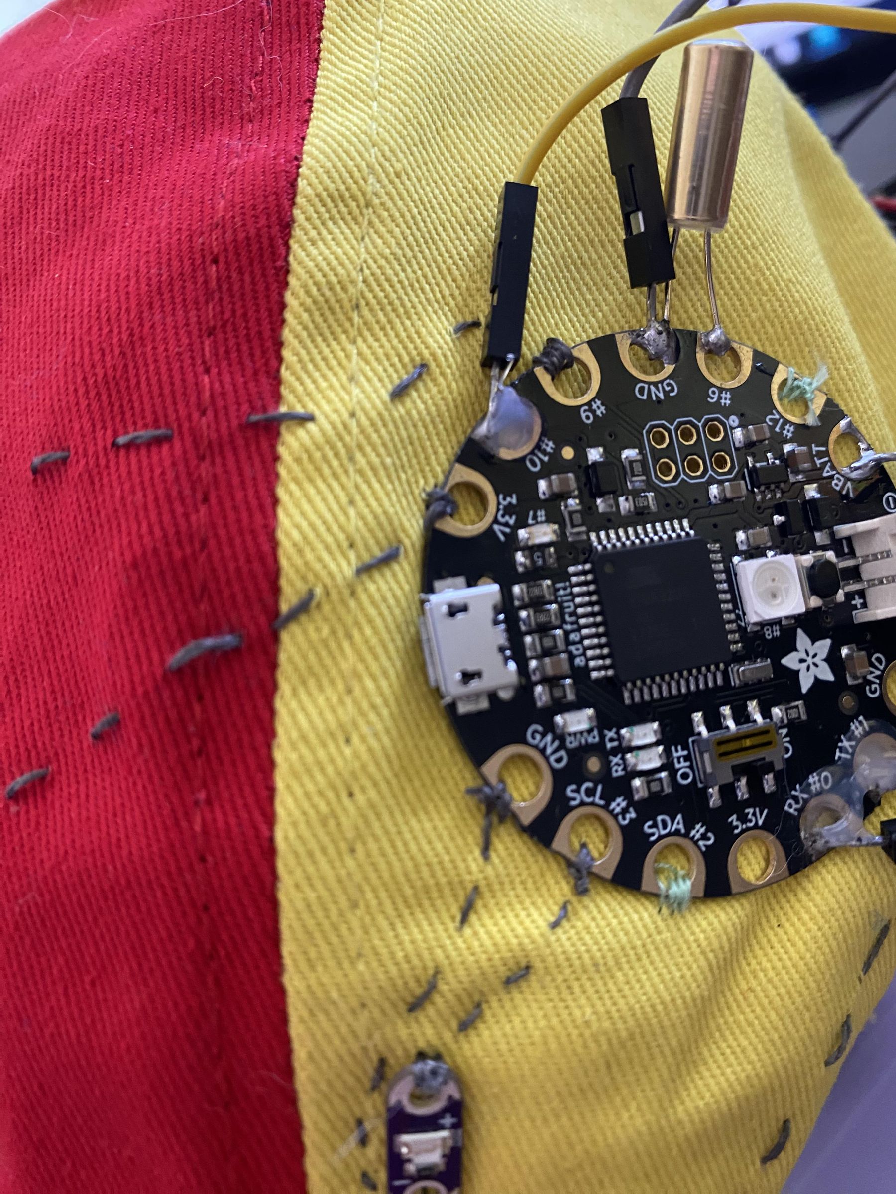 IMG_3377.jpg