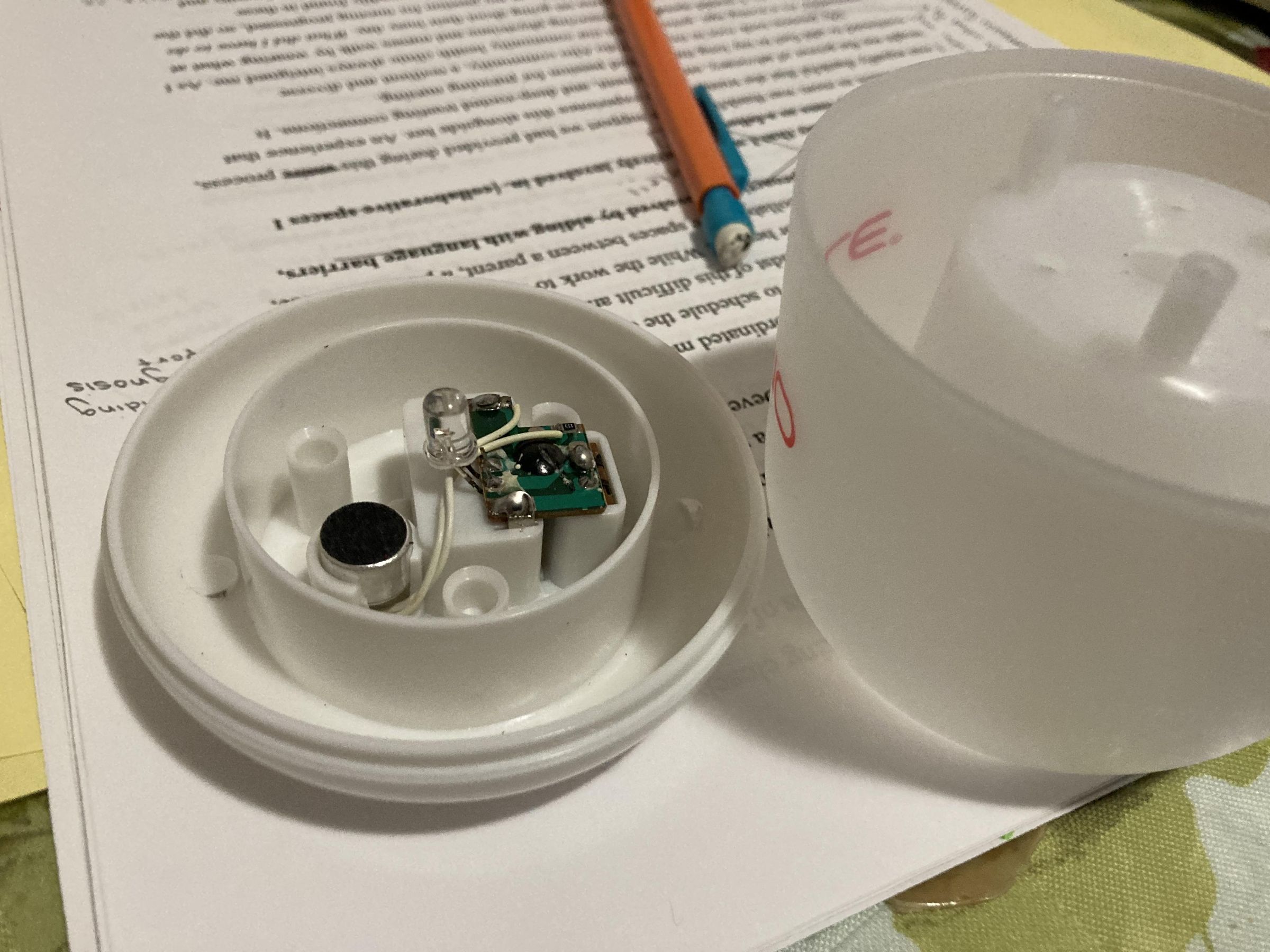IMG_3501.jpg