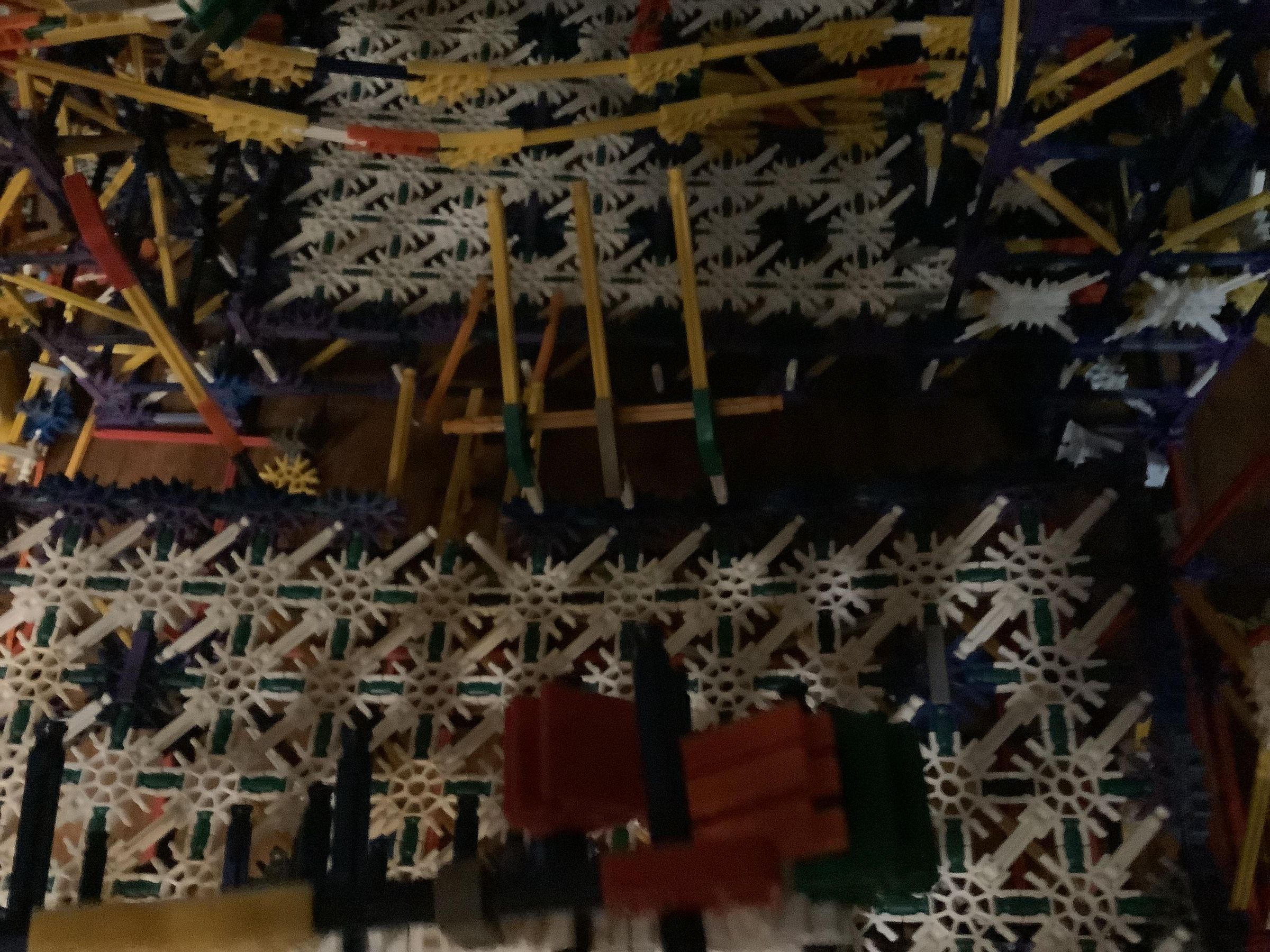 IMG_3924.jpeg