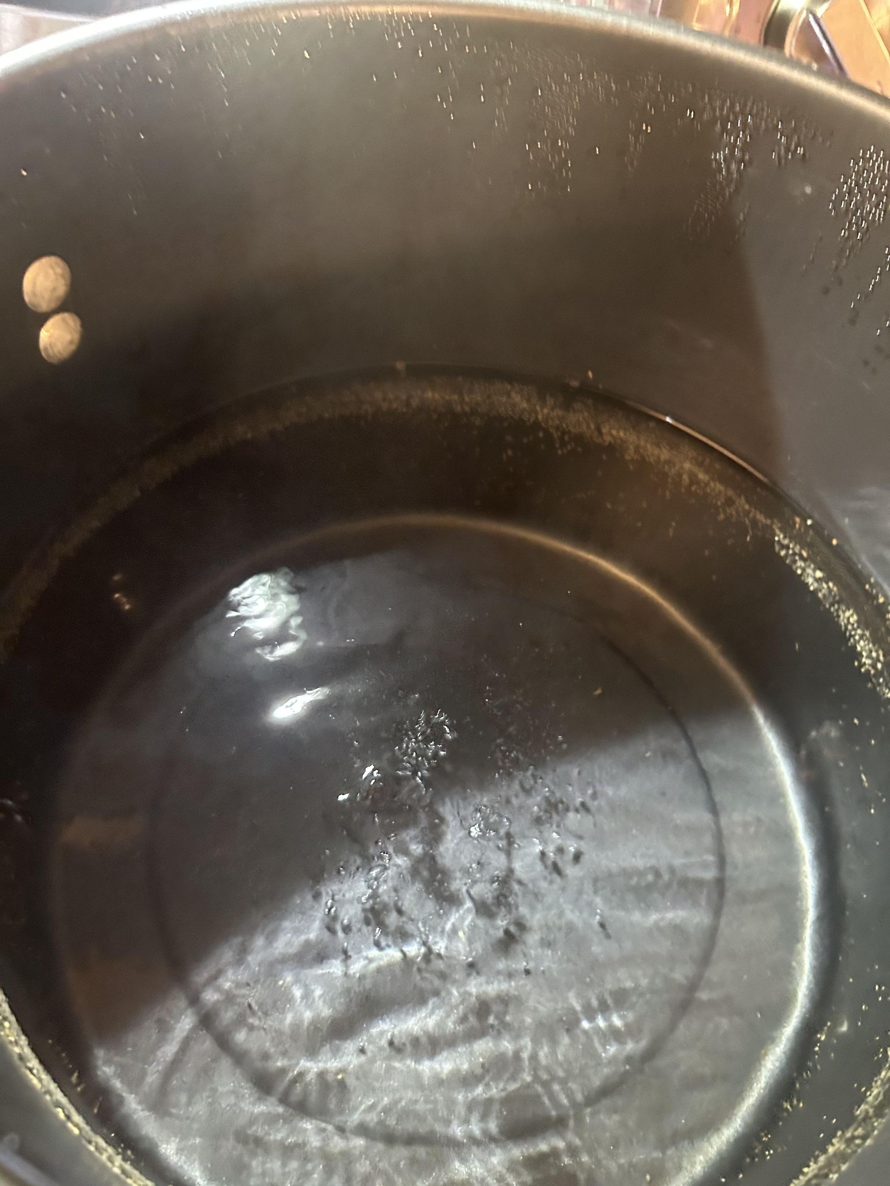 IMG_4503.jpeg