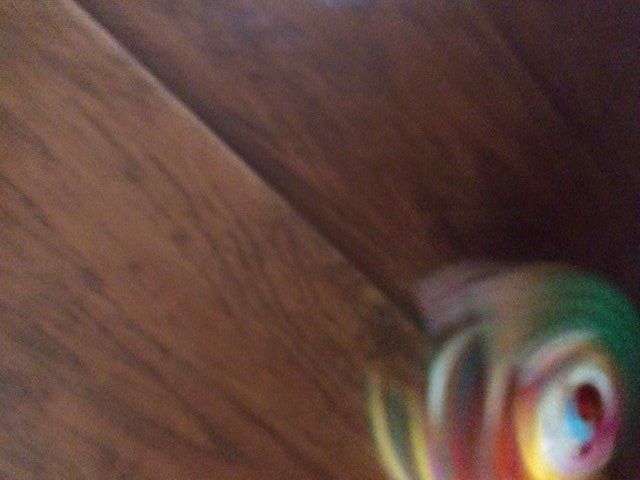 IMG_4712.JPG