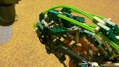 IMG_4951.gif