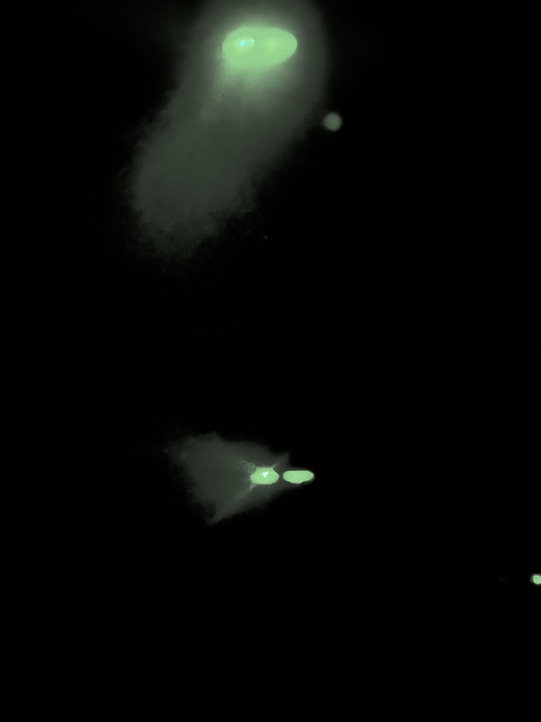 IMG_5339.jpeg
