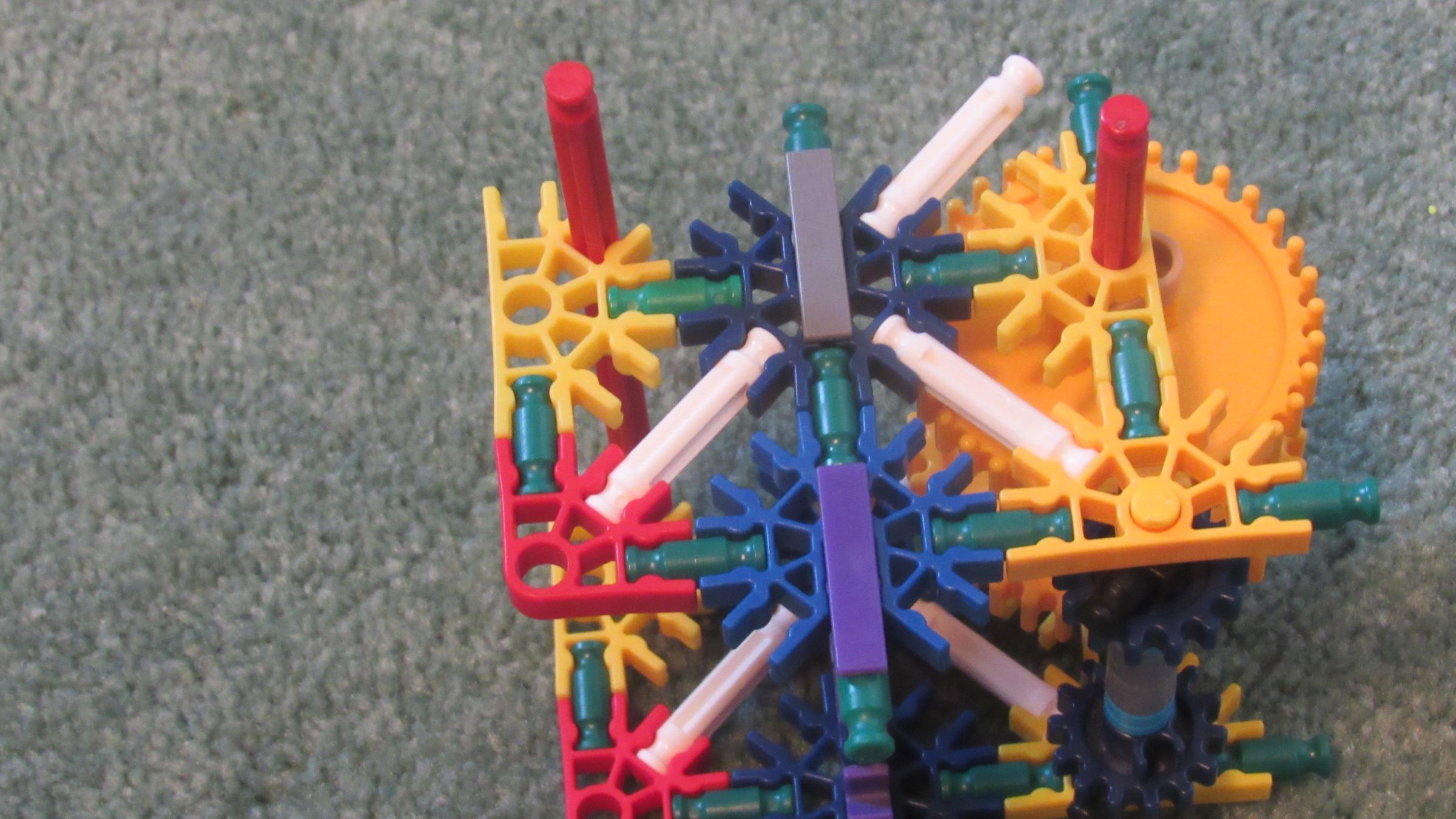 IMG_5439.jpg
