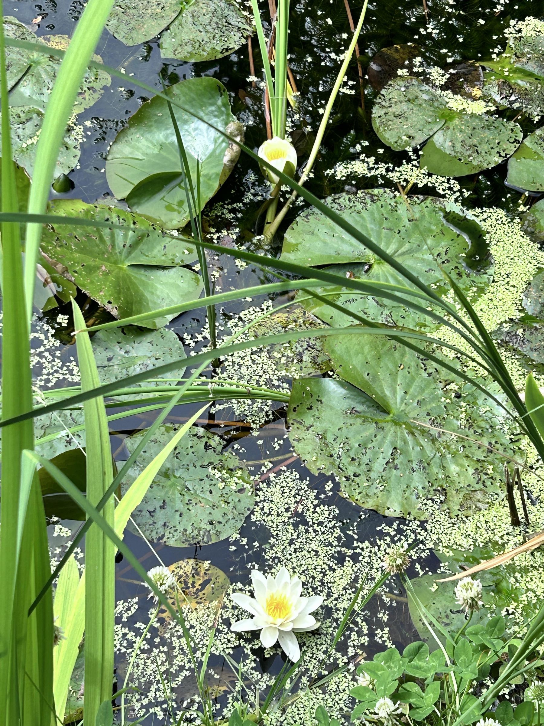 IMG_5508.jpeg