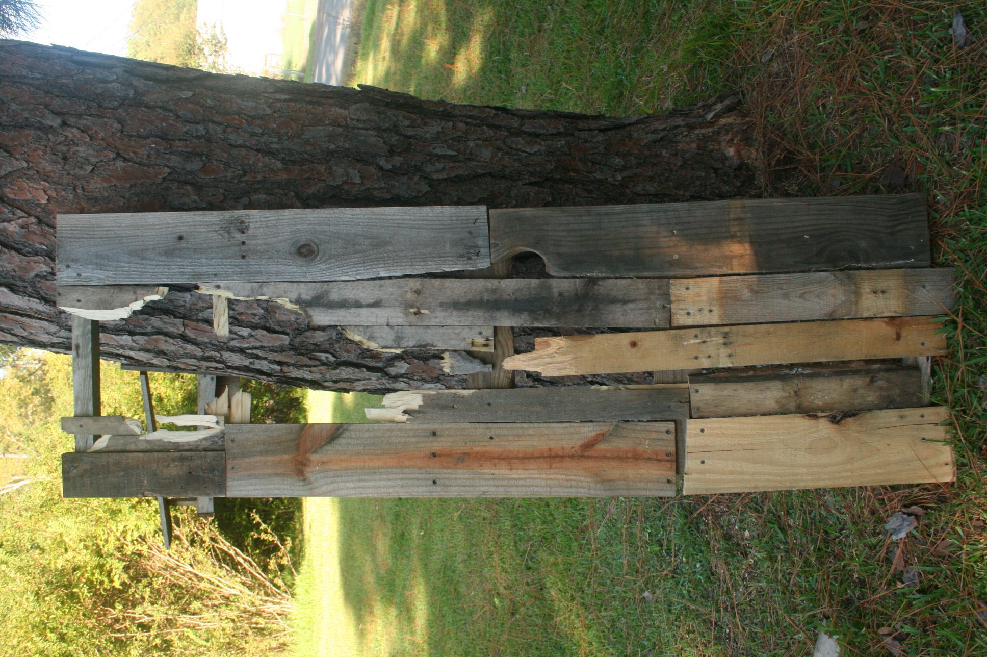 IMG_5562.JPG