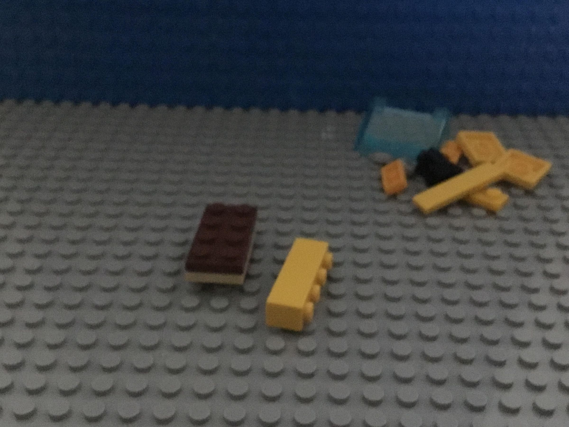 IMG_6354.JPG