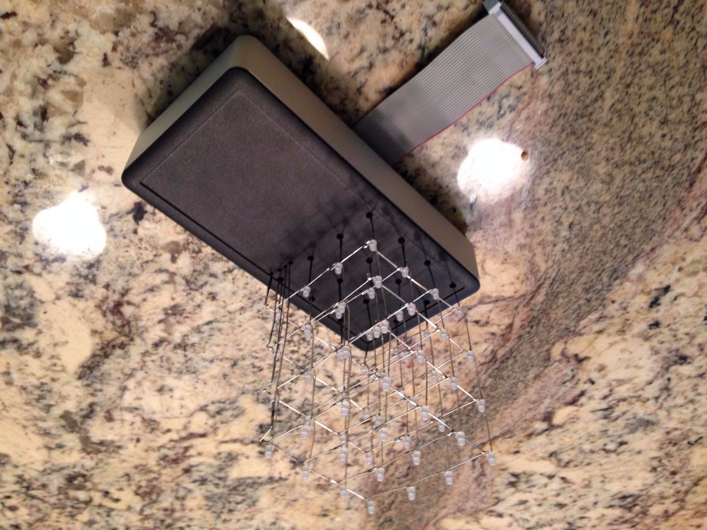 IMG_6540.JPG