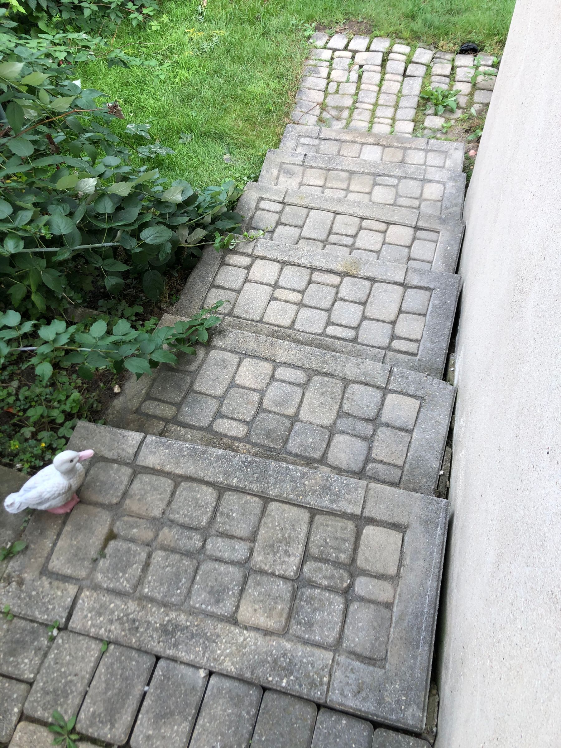 IMG_9017.jpeg