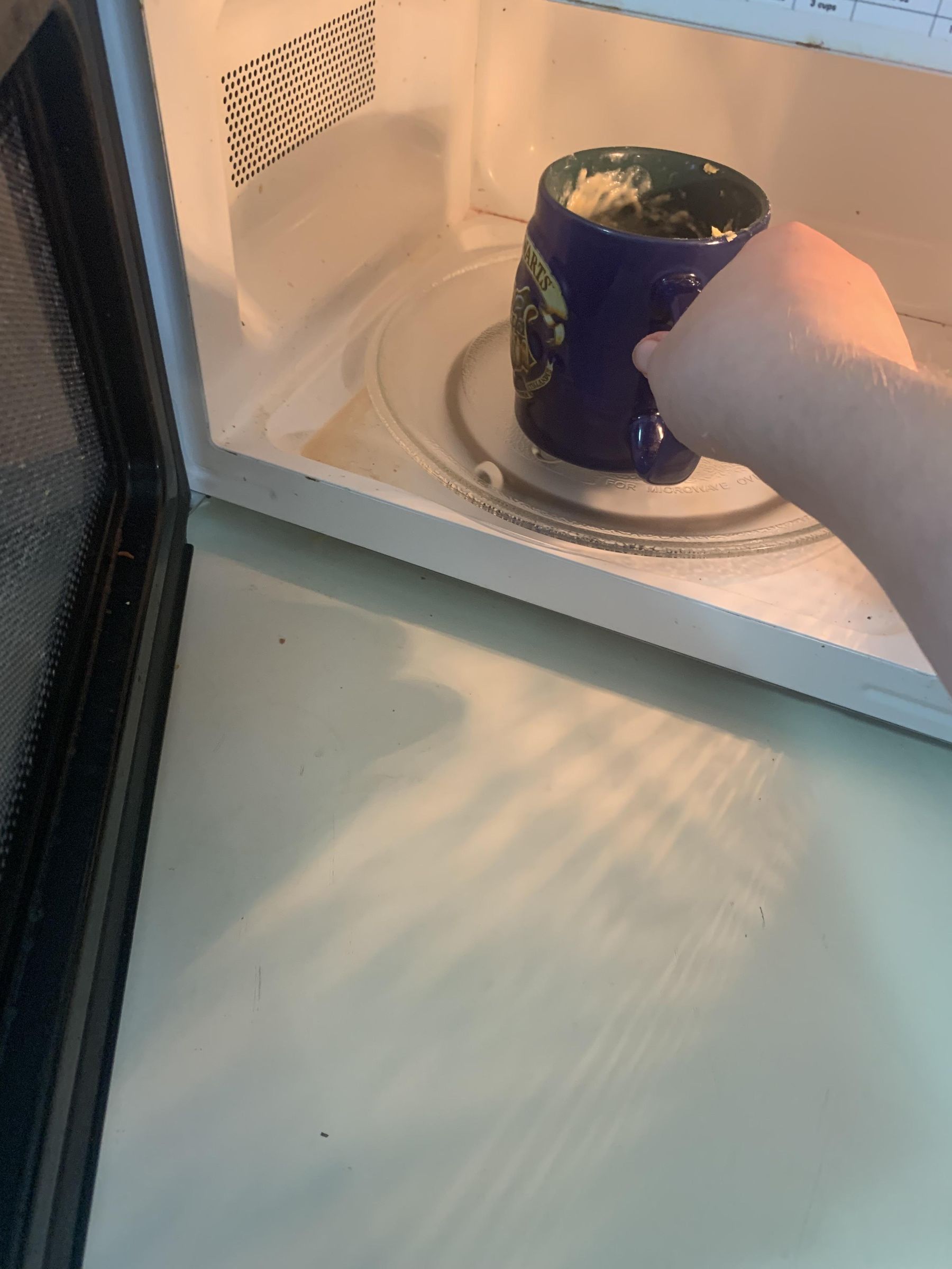 IMG_9714.jpeg