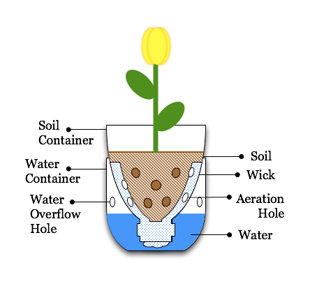 Illustration-Sub-Irrigated_Planter_from_pop_bottle.png