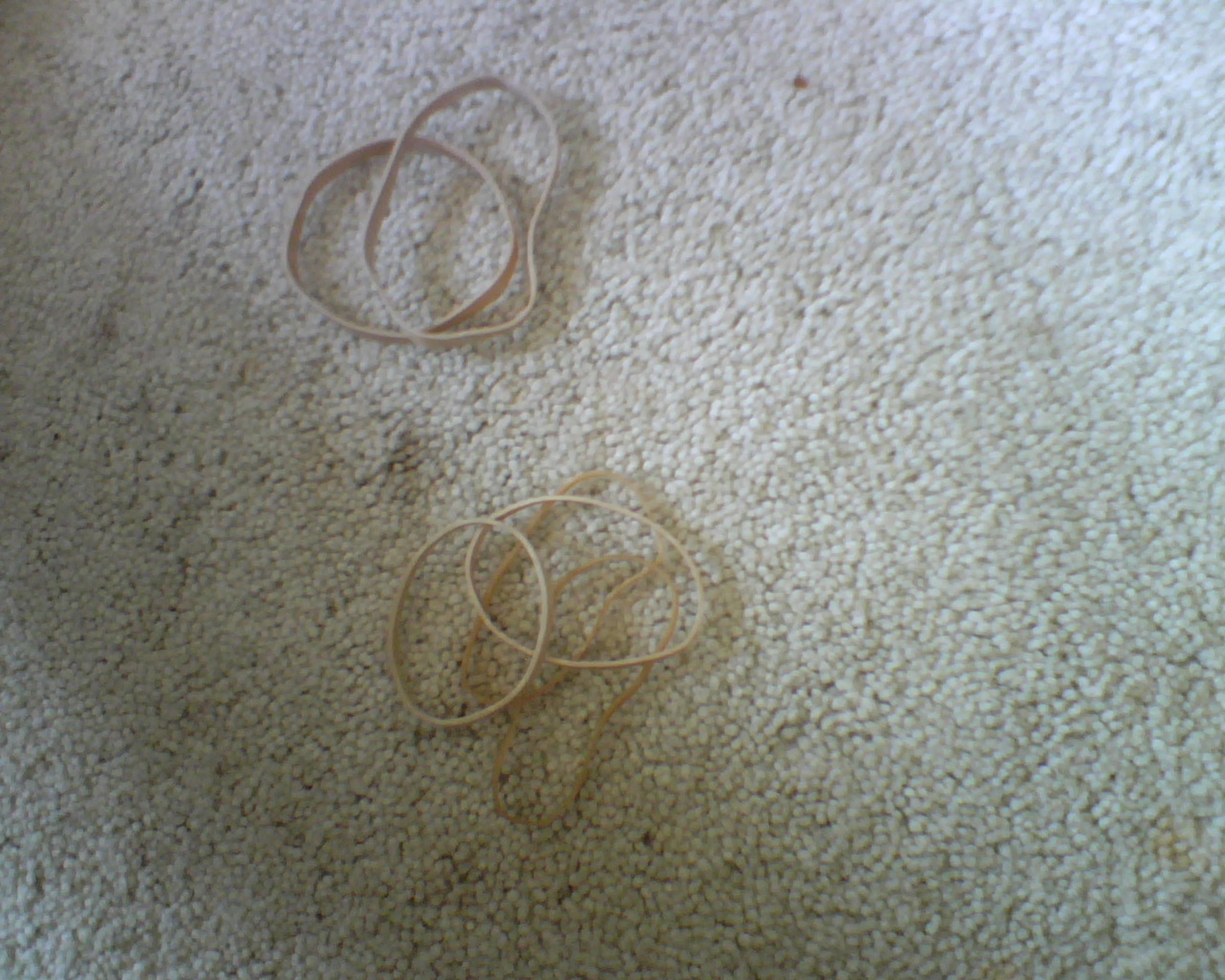 Image50.jpg