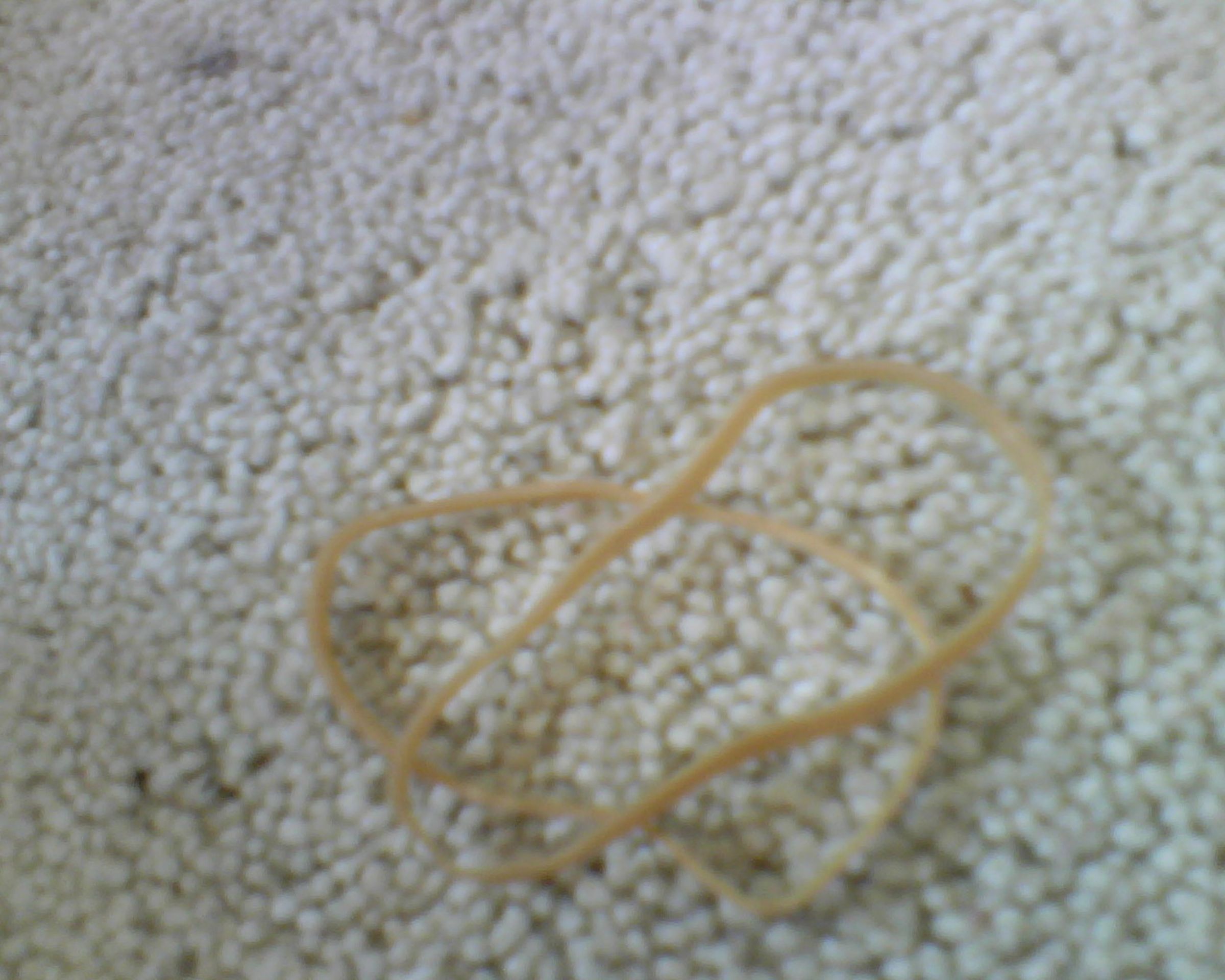 Image53.jpg