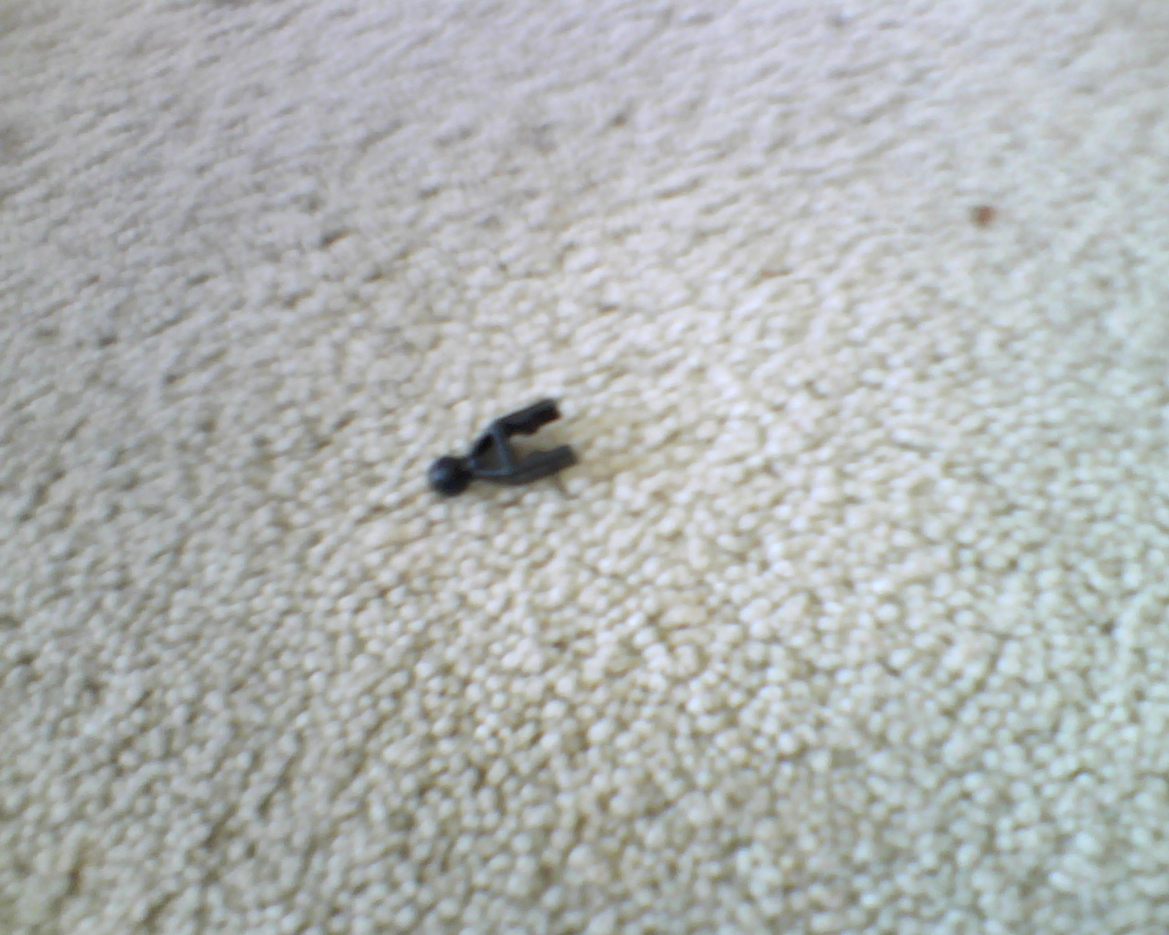 Image79.jpg