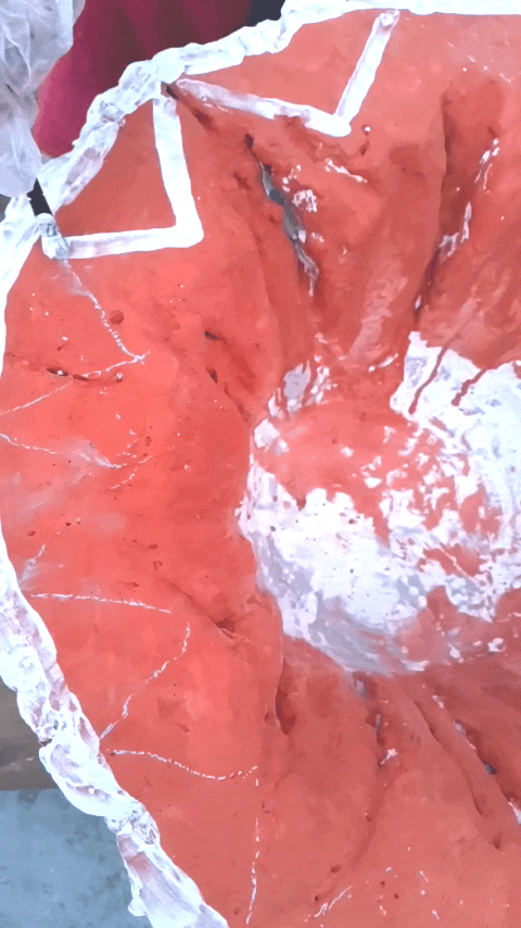 InShot_20250609_162207270.gif