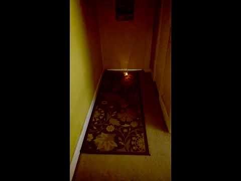 Infrared Lamp 2