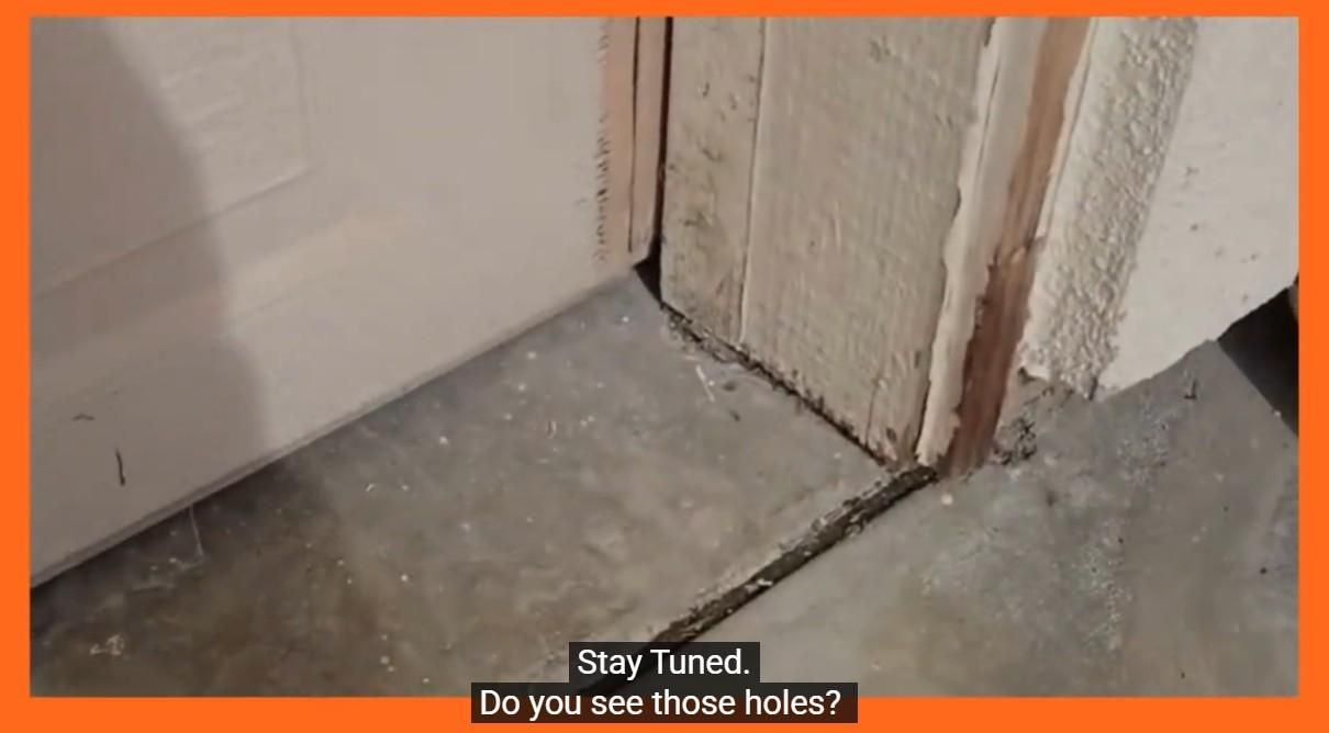 Instructable-image2-Shimmy-Pest-Control-OC.jpg