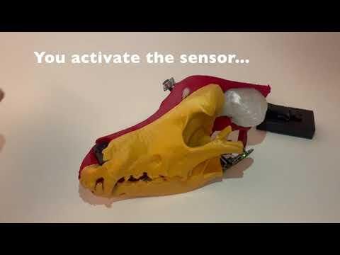 Interactive dog skull prorotype
