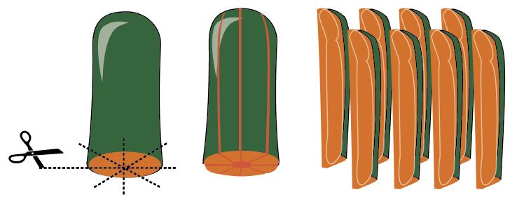 Legs1.jpg