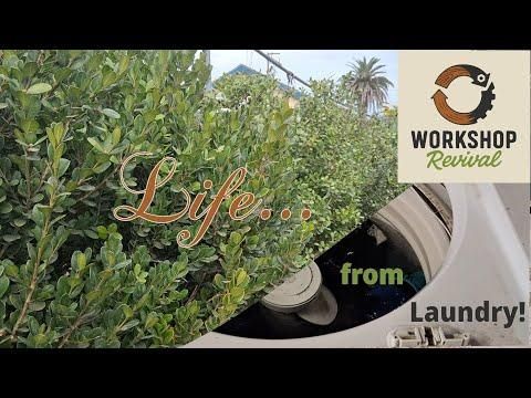 Life... From Laundry! | DIY Grey Water Filter