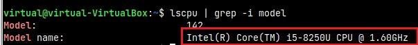 LinuxCPUModel.JPG