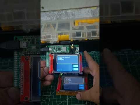 LoRa CHAT:PICO2+RYLR998 REYAX #treanding #lora