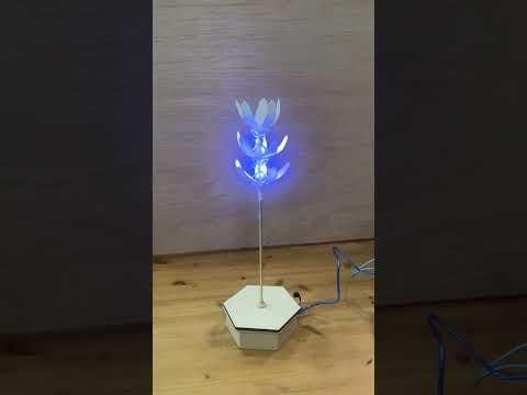 LumeBloom Final