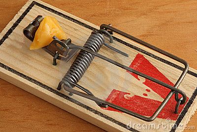 MOUSE TRAP.jpg