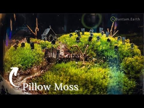 Make A Mini Graveyard Terrarium For Halloween