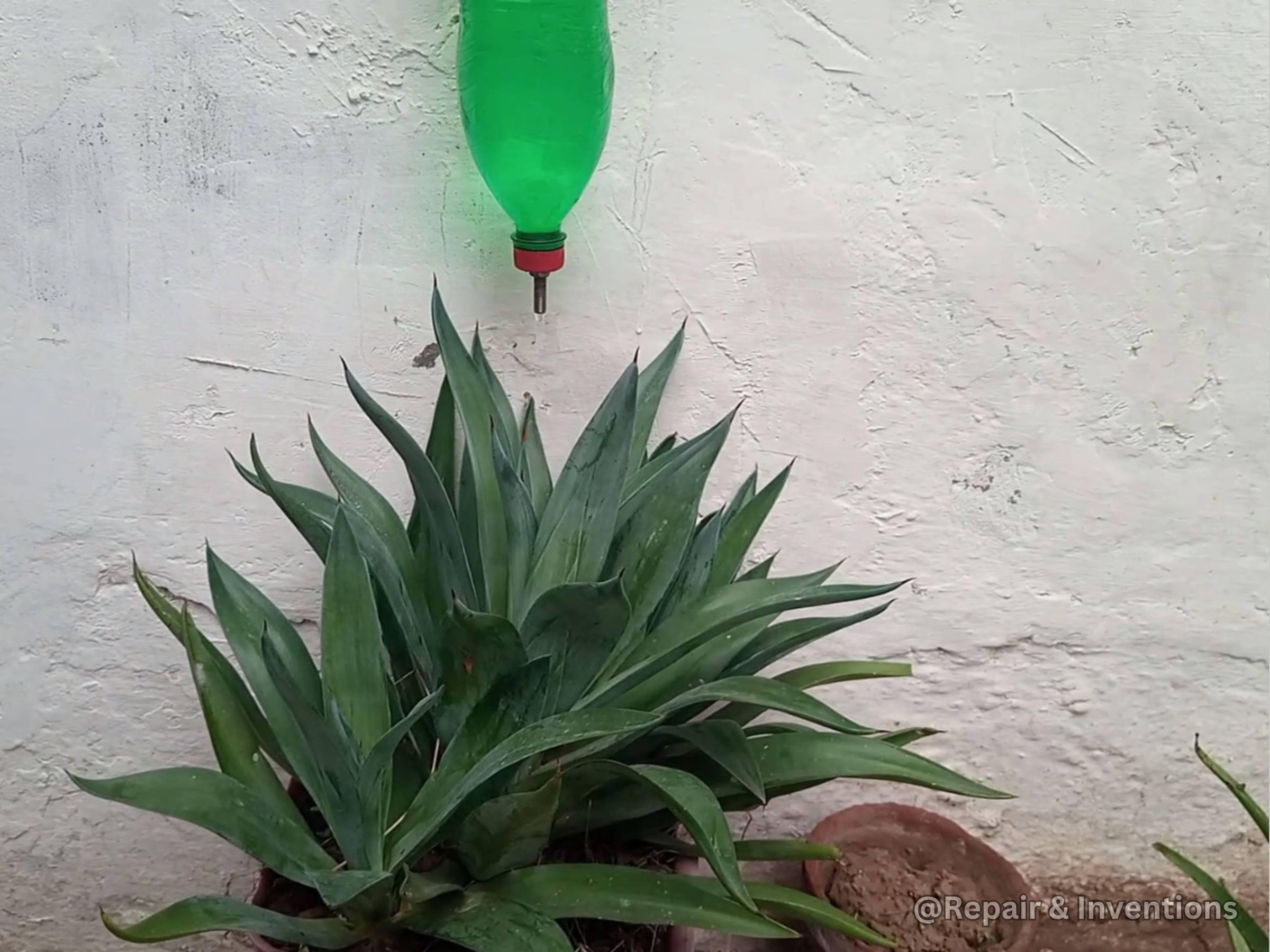 Make a DIY Drip Irrigation System at Home &ndash; Save Water &amp; Grow Better Plants.jpg