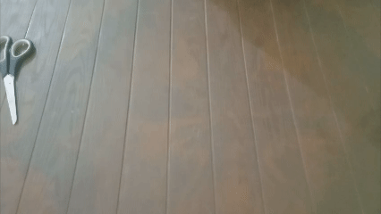 Making the rings.gif