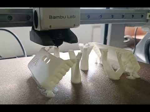 Meshy_Printing