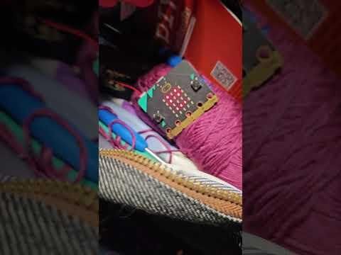 Microbit - Cat Alarm