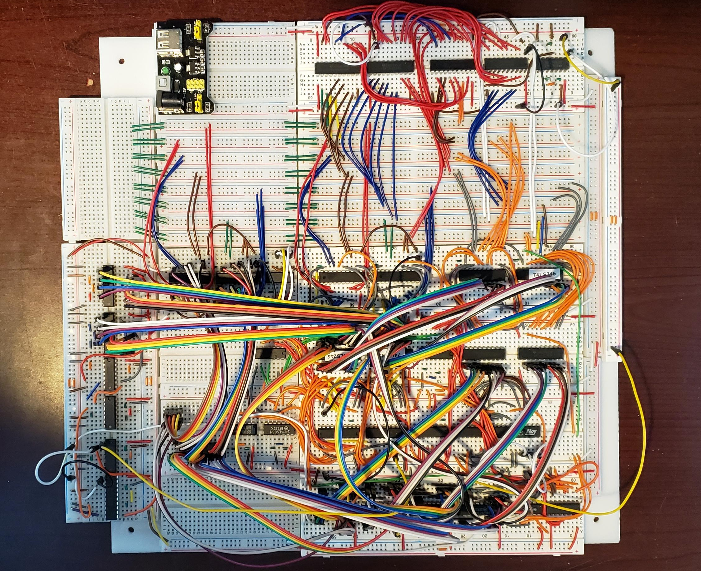 Middle_Layer(Cropped).png