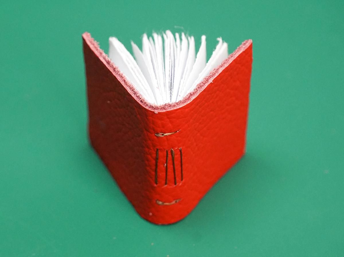 Mini Long Stitch Book 2a.jpg