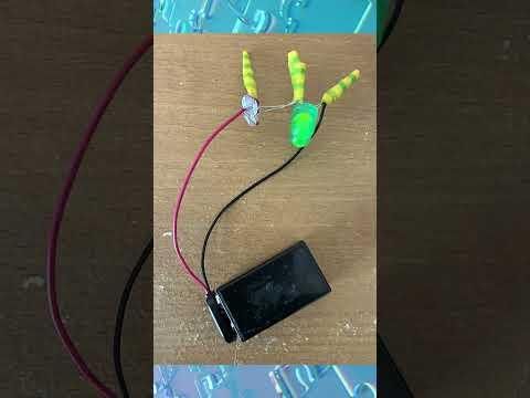 Motion Detecting Dog