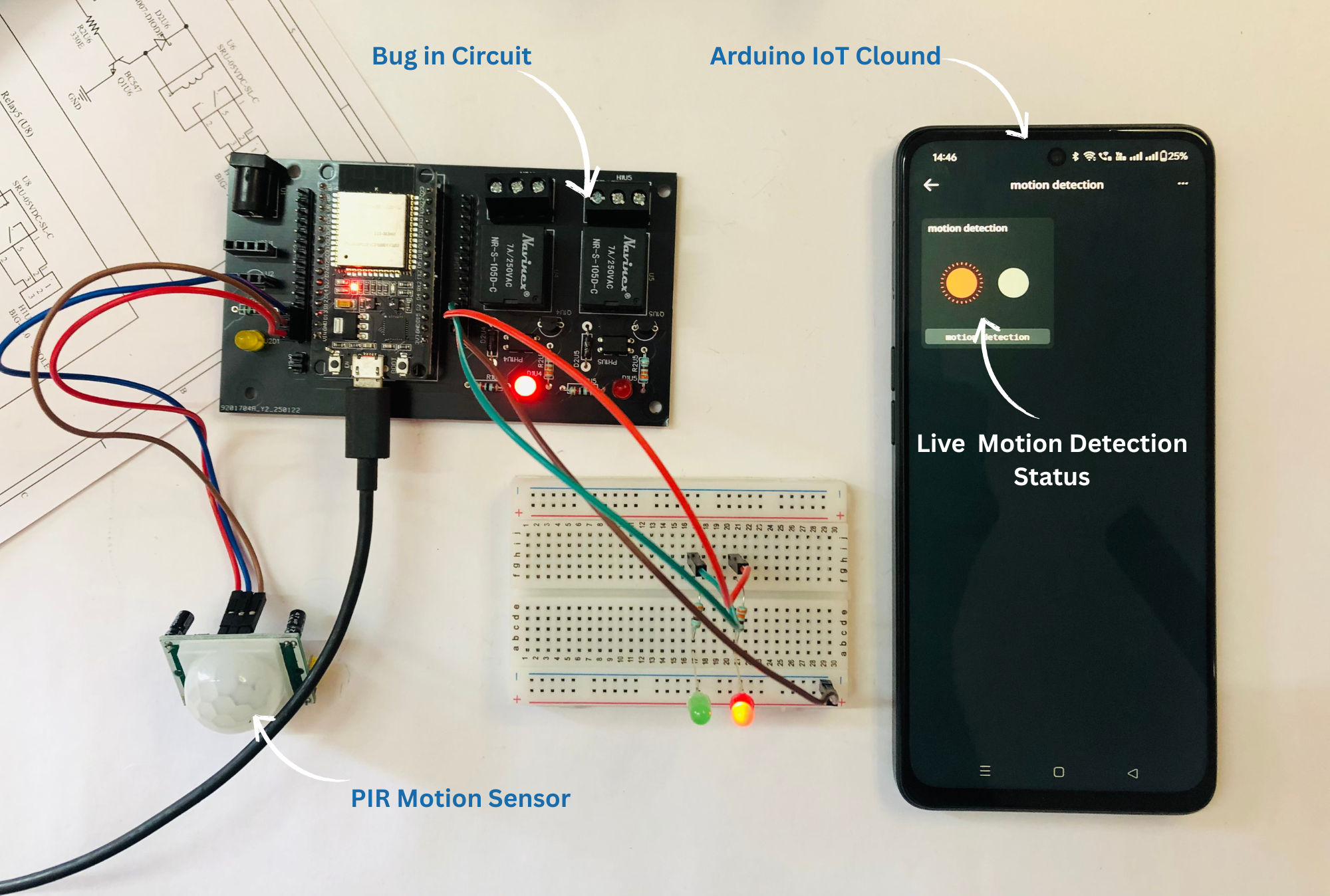 Motion Sensor Detection.png
