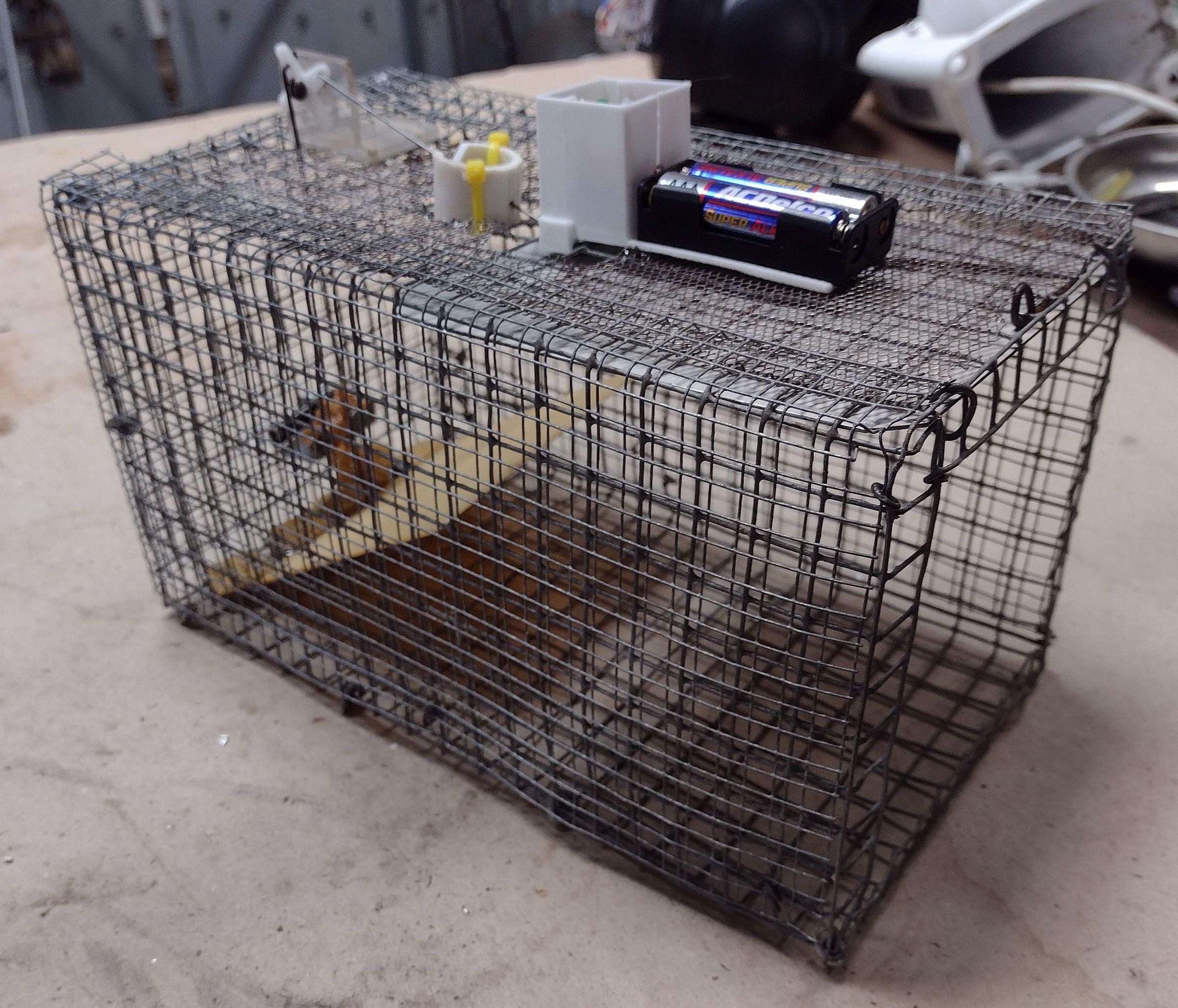Mousetrap1.jpg