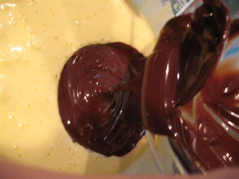 Mousse 014 (Medium).jpg