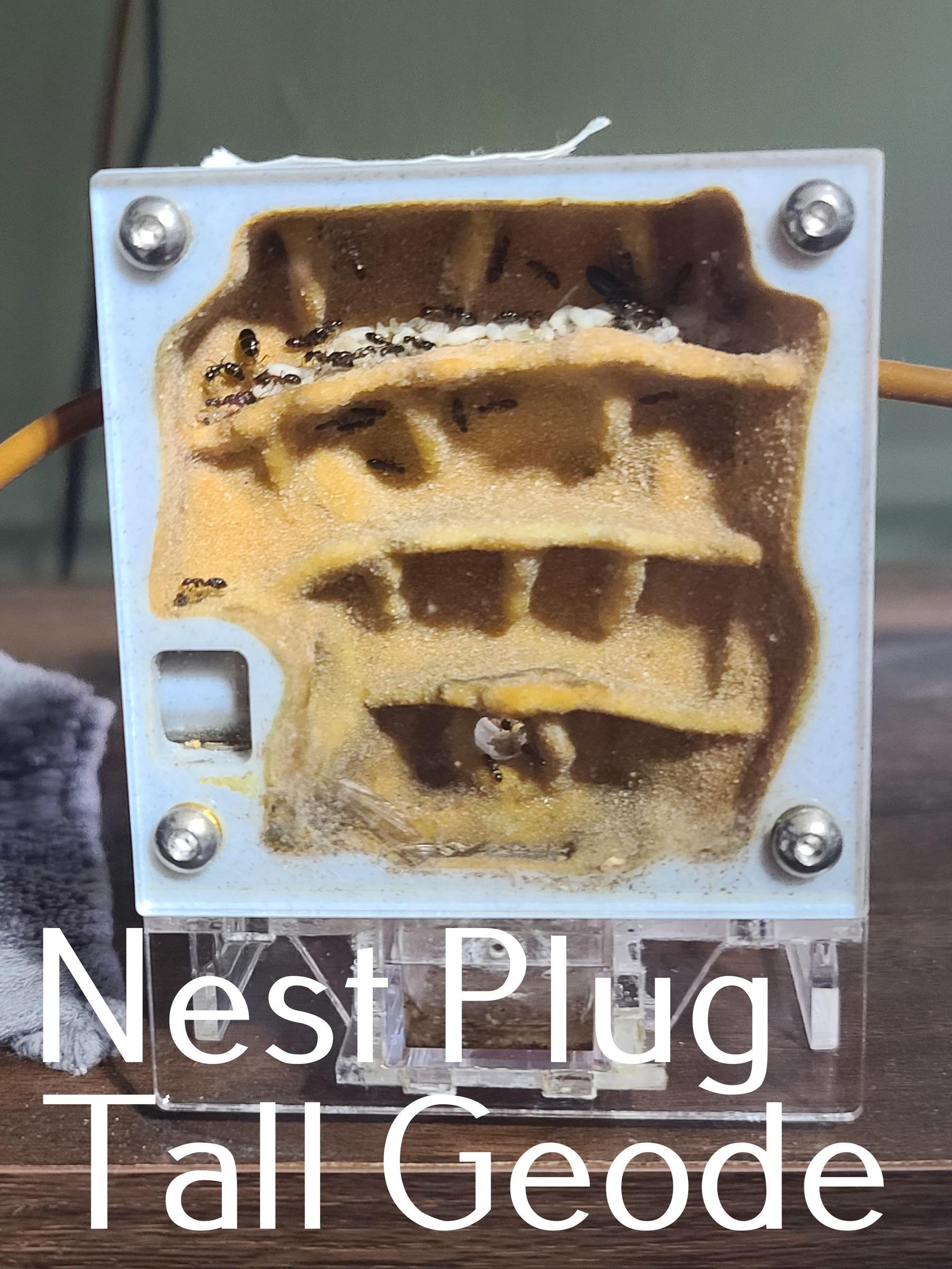 Nest Plug Tall Geode.jpg