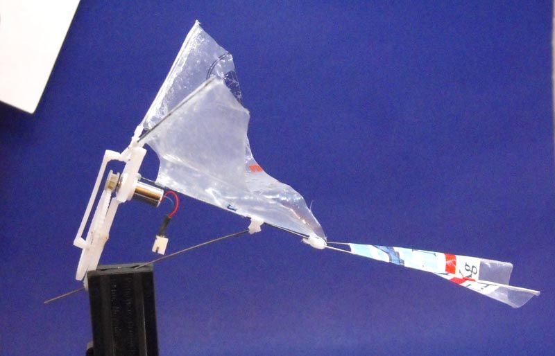 Ornithopter v3 070.jpg
