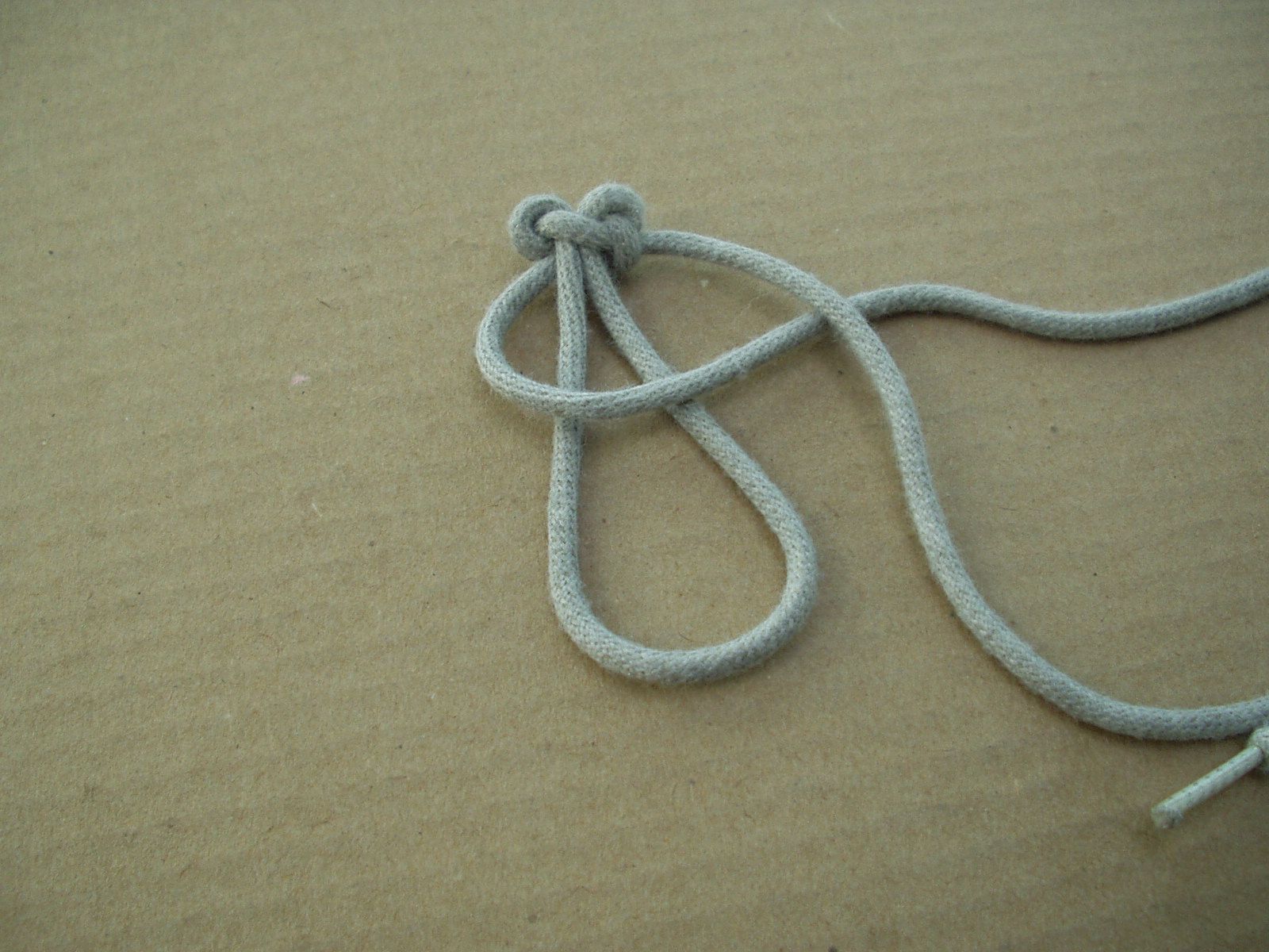 P1010010.JPG