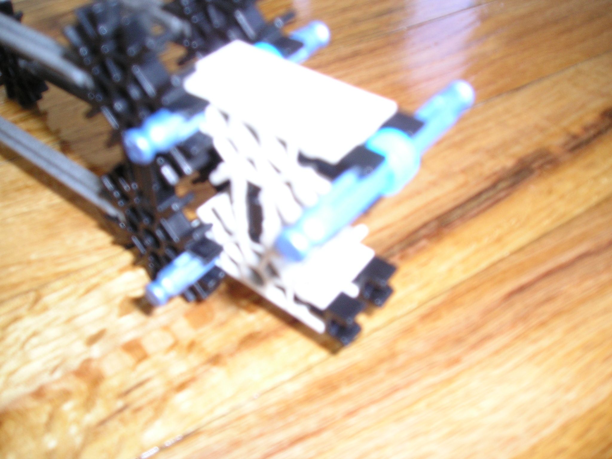 P1010107.JPG