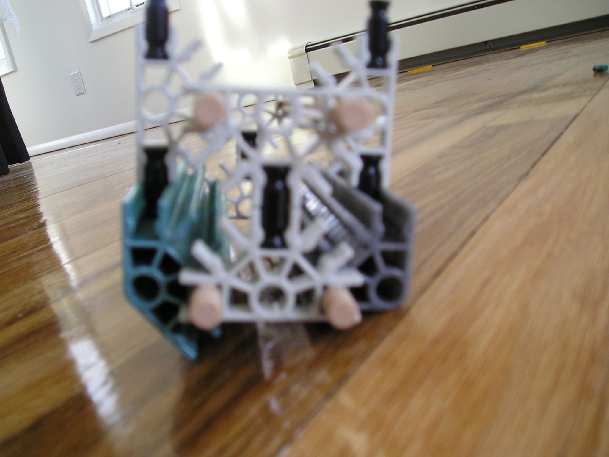 P1010114.JPG