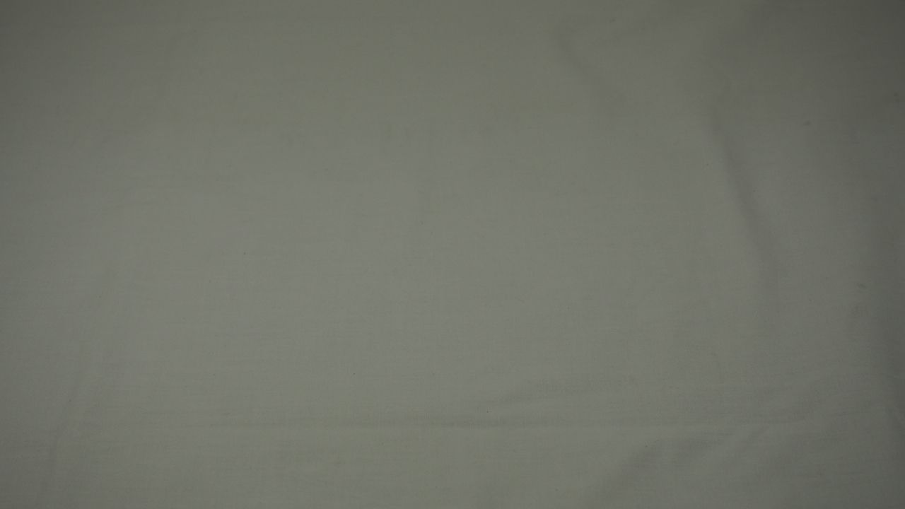 P1011412.JPG