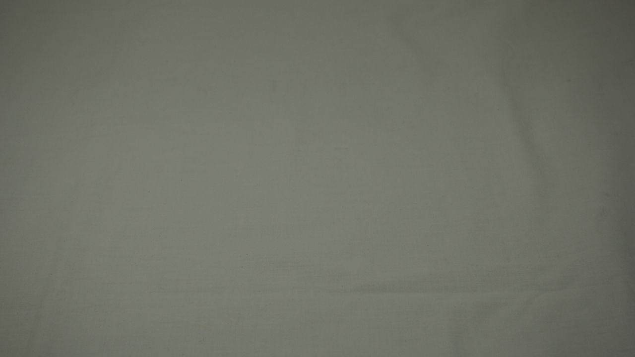 P1011496.JPG