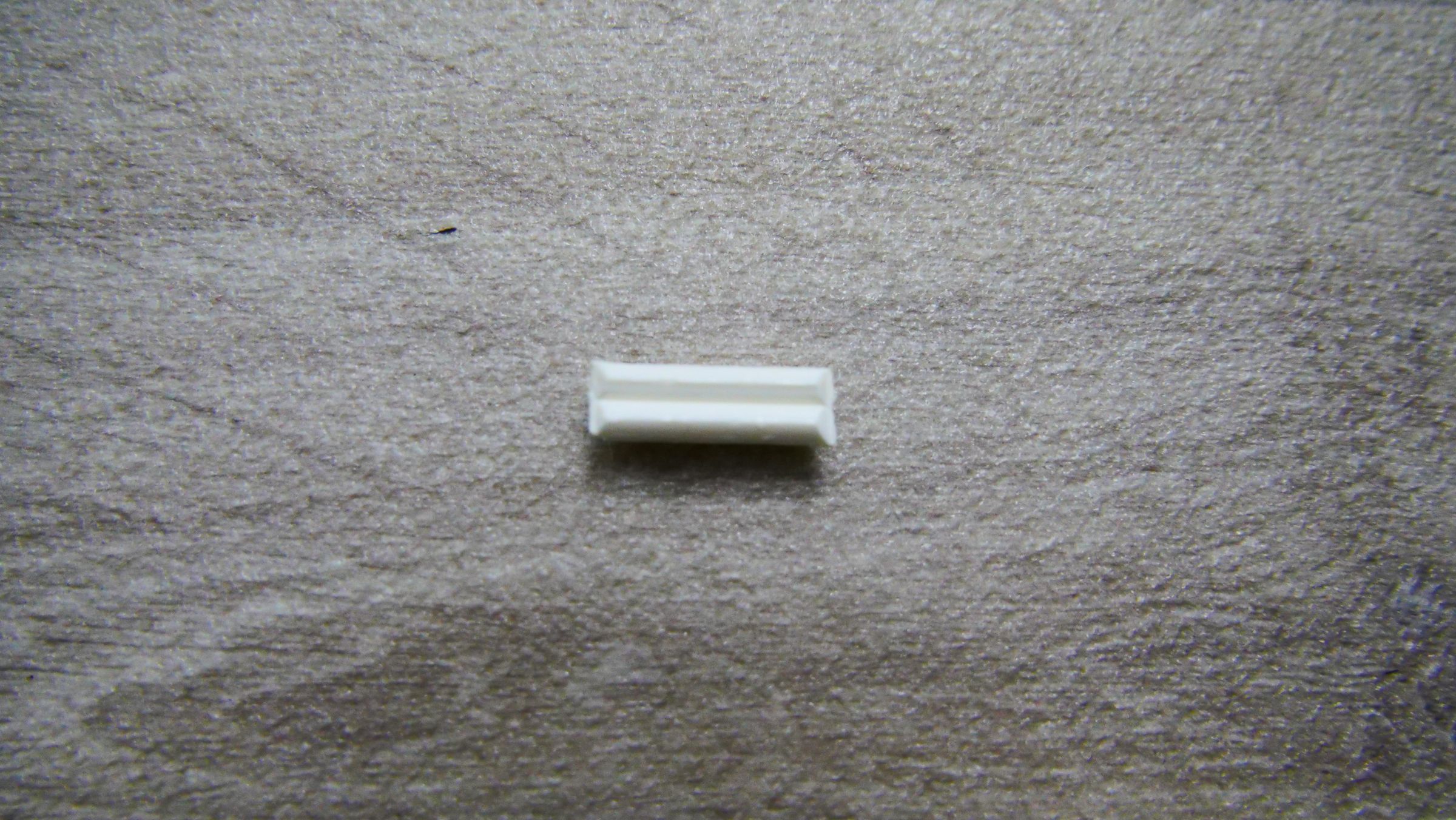 P1011516.JPG