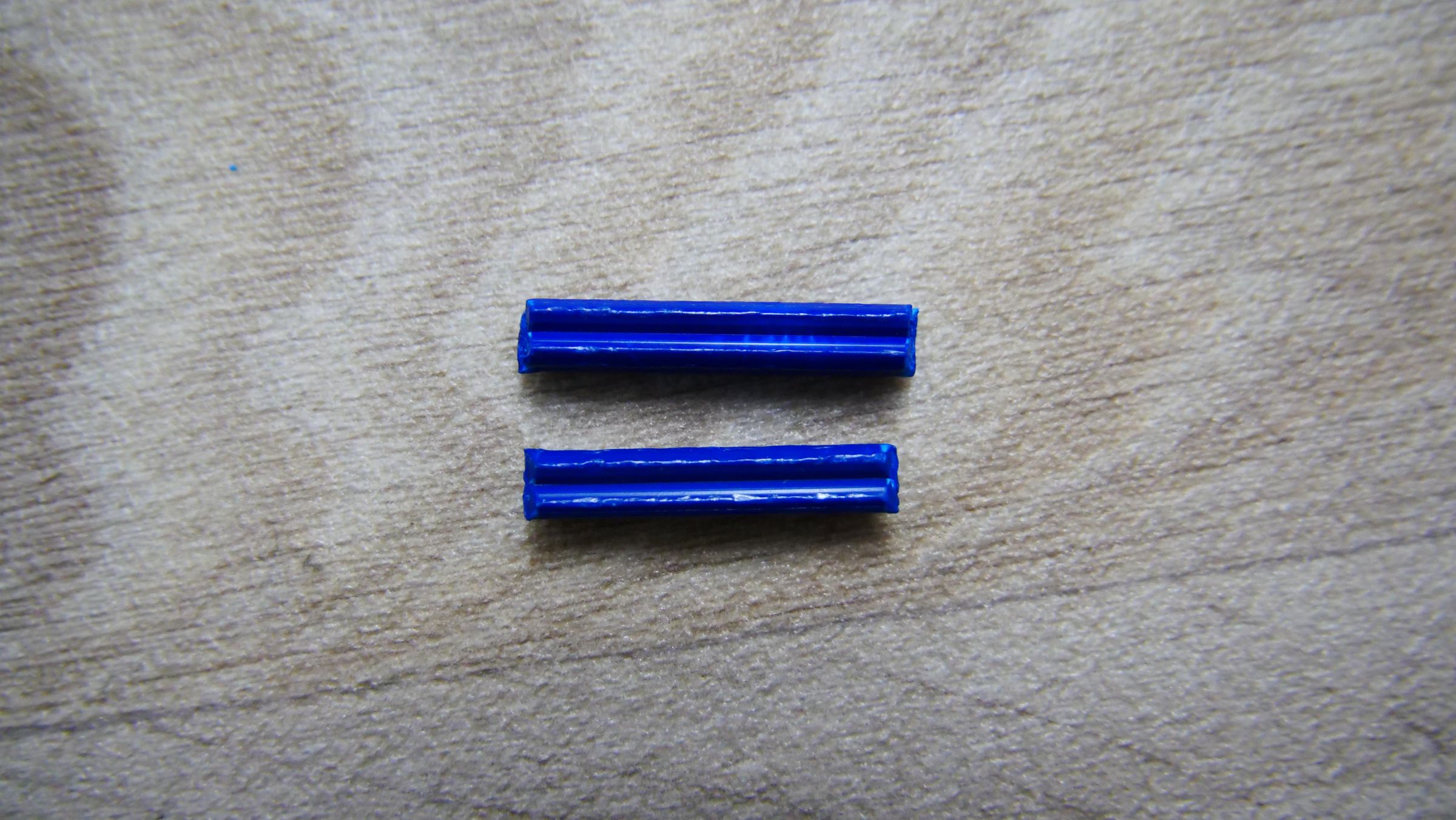 P1011569.JPG