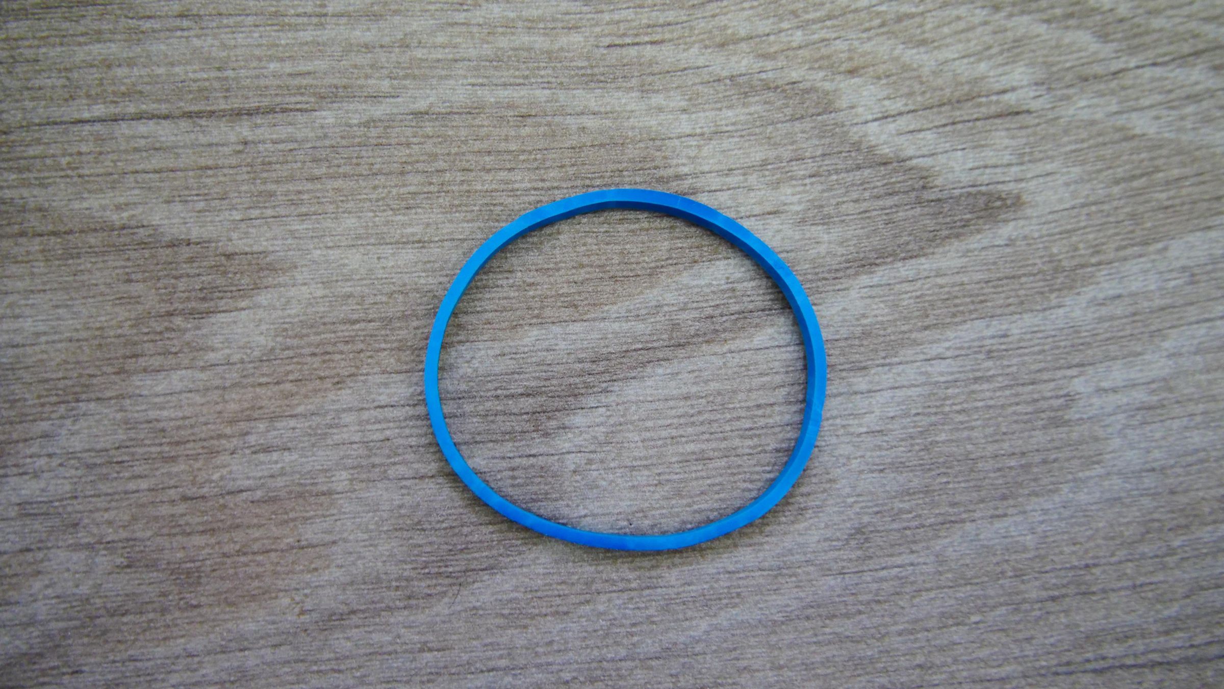 P1011771 - Copy.JPG